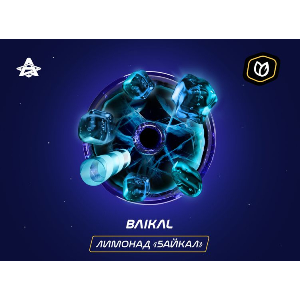 Паста Space Smoke Tobacco Baikal 30 гр в Петрозаводске