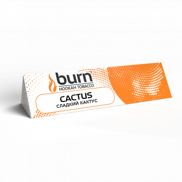 Табак BURN CACTUS 25 грамм в Петрозаводске