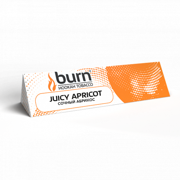 Табак BURN JUICY APRICOT 25 грамм в Петрозаводске