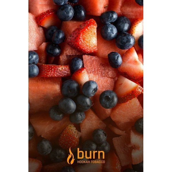 Табак Burn Berried Treasure 100 грамм в Петрозаводске
