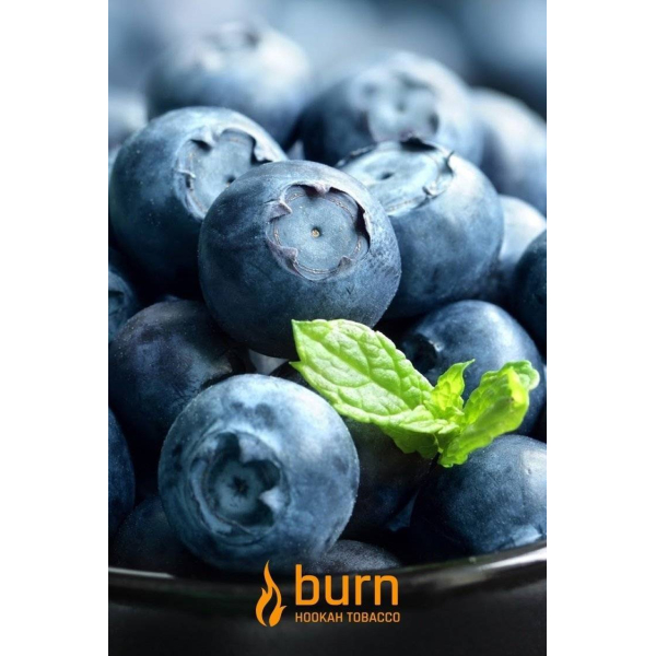 Табак Burn Blueberry Mint 100 грамм в Петрозаводске