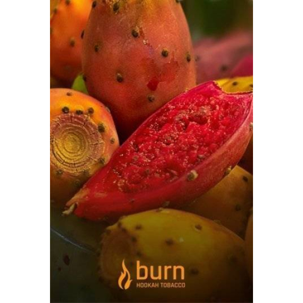 Табак Burn Cactus 100 грамм в Петрозаводске