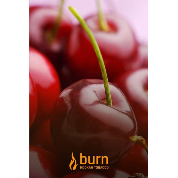 Табак Burn Candy Cherry 100 грамм в Петрозаводске