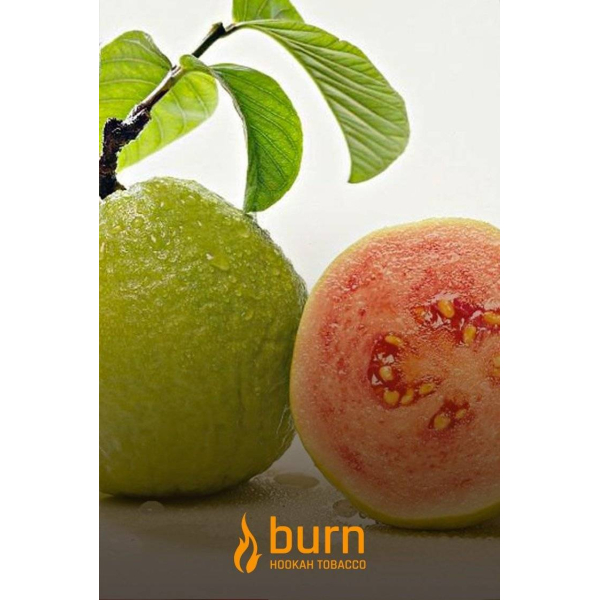 Табак Burn Guava 100 грамм в Петрозаводске