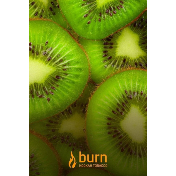 Табак Burn Kiwi 100 грамм в Петрозаводске