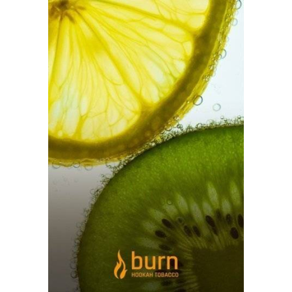 Табак Burn Kiwi Lemon 100 грамм в Петрозаводске