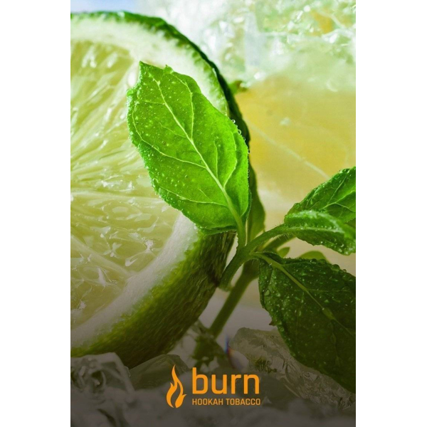 Табак Burn Lemon Mint 100 грамм в Петрозаводске