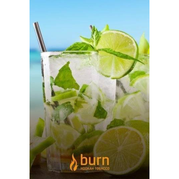Табак Burn Mojito 100 грамм в Петрозаводске