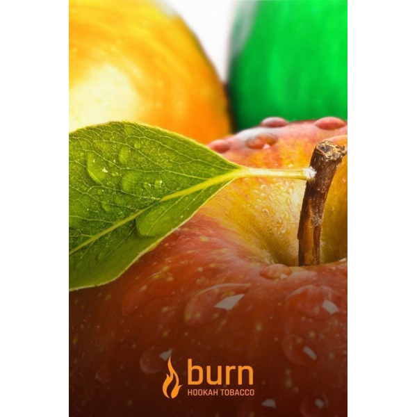 Табак Burn Three Apples 100 грамм в Петрозаводске