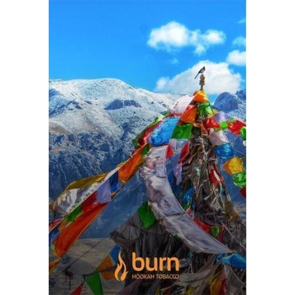 Табак Burn Tibet 100 грамм в Петрозаводске
