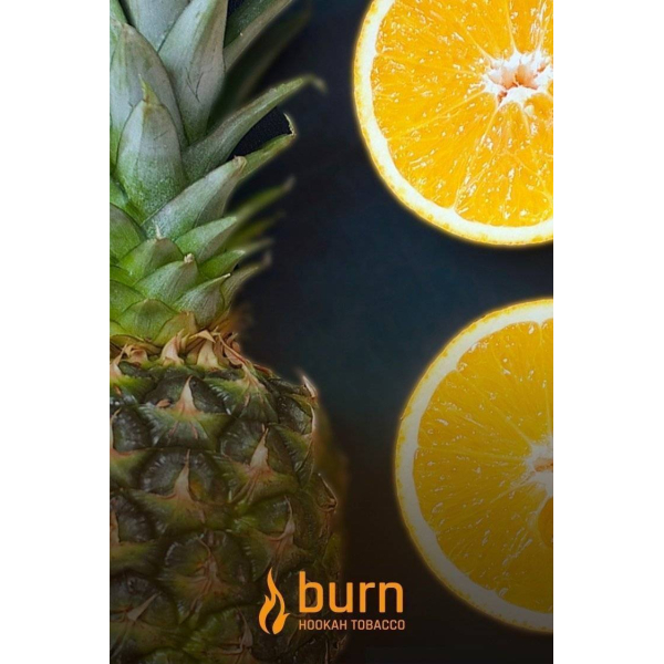 Табак Burn White Night 100 грамм в Петрозаводске