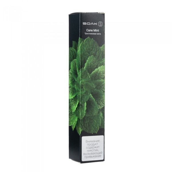 SOAK S Cane Mint (Тростниковая мята), 2500 тяг в Петрозаводске