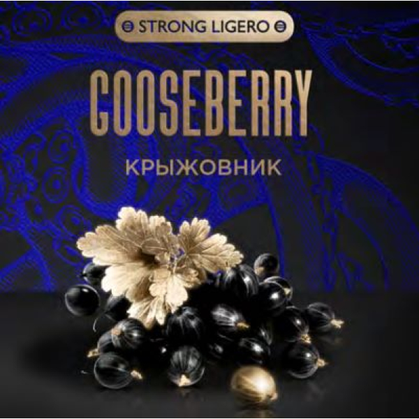 Табак Kraken Strong Gooseberry (Крыжовник) 30 гр в Петрозаводске