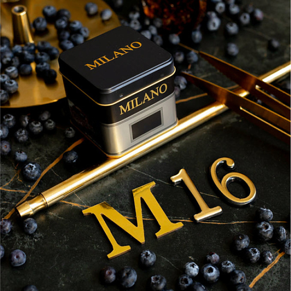 Табак MILANO GOLD М16 BILBERRY 100 гр в Петрозаводске
