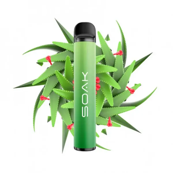 SOAK X Aloe Vera (Алое Вера), 1500 тяг в Петрозаводске