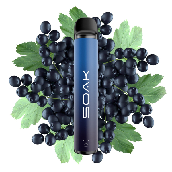 SOAK X Forest Blackcurrant (Лесная черная смородина), 1500 тяг в Петрозаводске