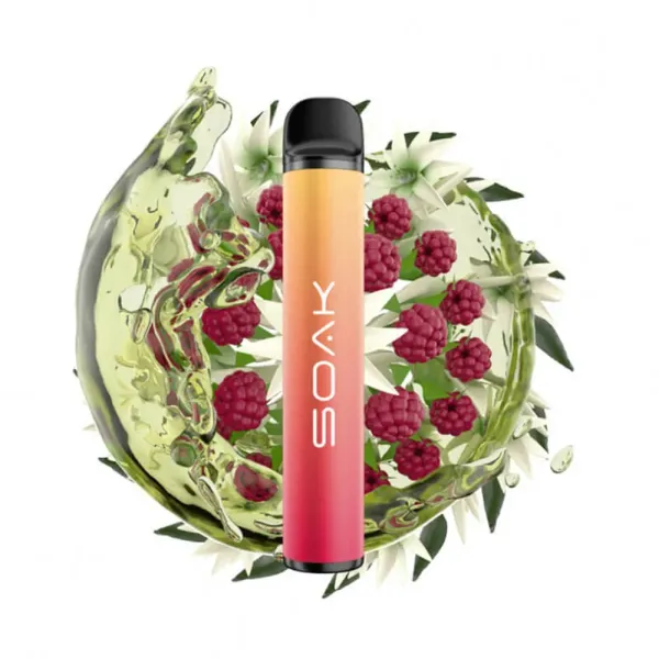 SOAK X Jasmin Raspberry Tea (Жасминовый чай с малиной), 1500 тяг в Петрозаводске