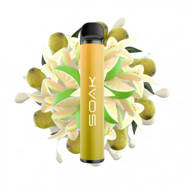 SOAK X Vanilla Pear (Ванильная груша с лаймом), 1500 тяг в Петрозаводске