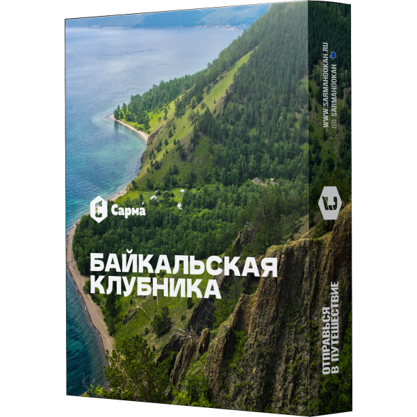 Табак Сарма Байкальская Клубника 25 гр в Петрозаводске