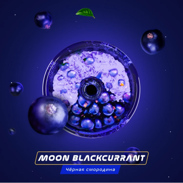 Паста Space Smoke BASIC Moon  Blackcurrant (Черная  смородина) 30 гр в Петрозаводске