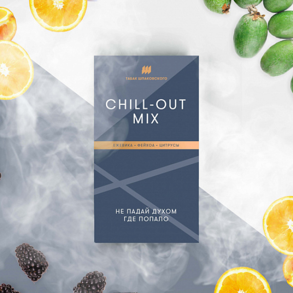 Табак Шпаковского Chill Out (Ежевика Фейхоа Цитрусы) 40 грамм в Петрозаводске