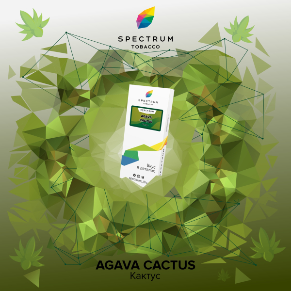 Табак Spectrum Classic Agava Cactus 100 грамм в Петрозаводске