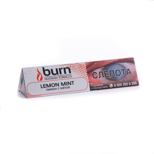 Табак Burn Lemon Mint  25 грамм в Петрозаводске