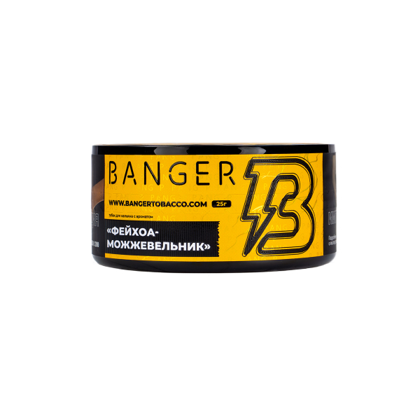 Табак Banger Evergreen 25 грамм в Петрозаводске