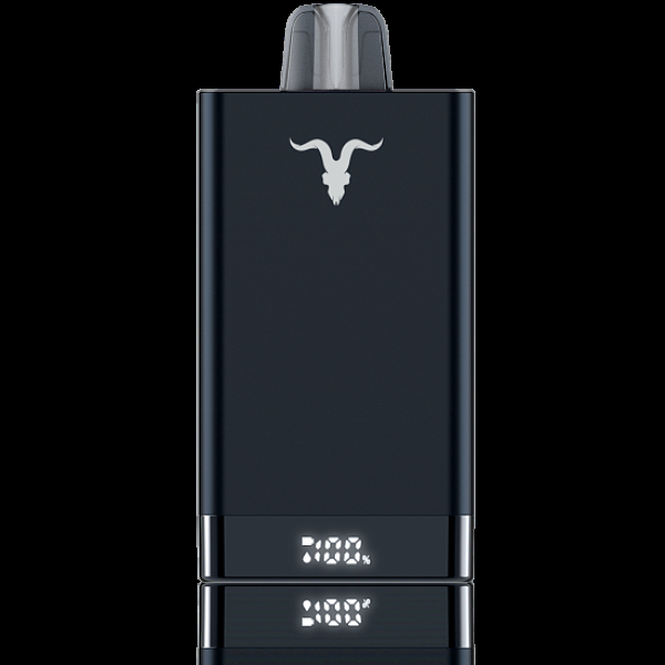 Электронка Ignite V150  Aloe Grape 15000 тяг в Петрозаводске