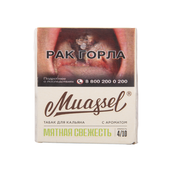 Табак Muassel Medium Мятная Свежесть 40 грамм в Петрозаводске